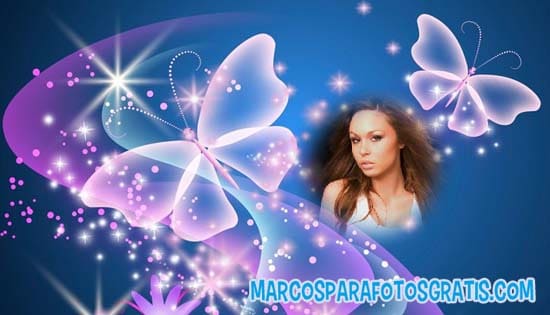 marcos de mariposas