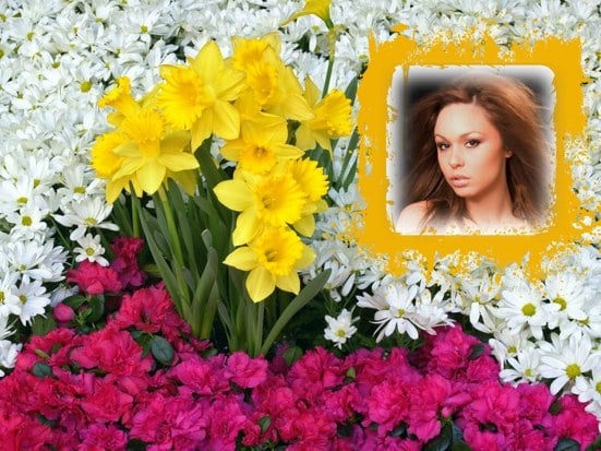 marcos de flores para fotos