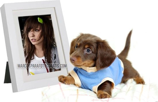 marco para fotos con perrito