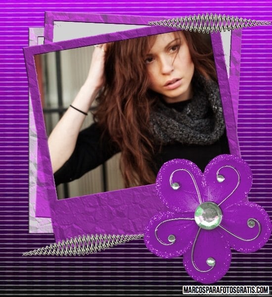 marco violeta con flores
