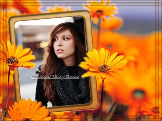 marcos de flores naranjas