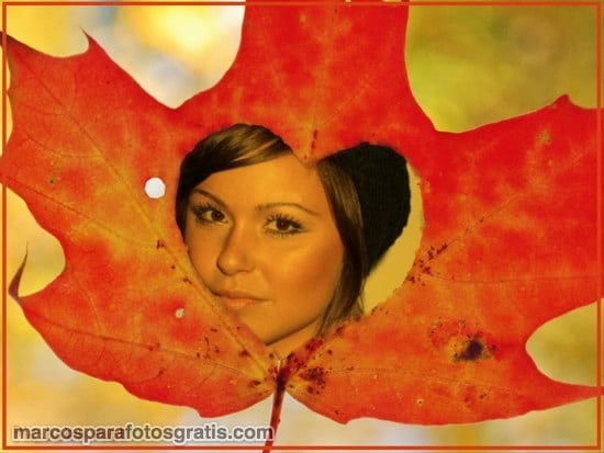 marcos de otoño