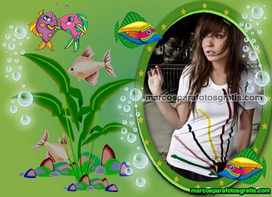 marco de fotos de acuario