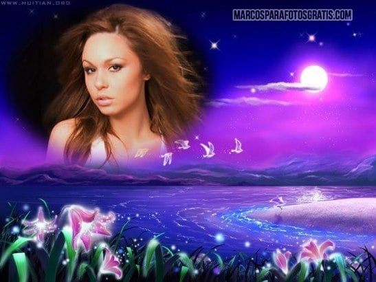 marco de paisaje violeta