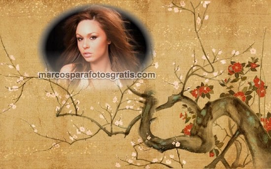 marco estilo japones para fotos