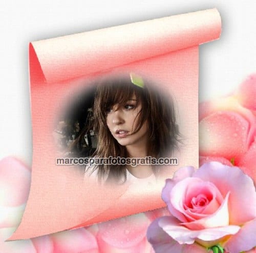 marcos de fotos con flores rosas