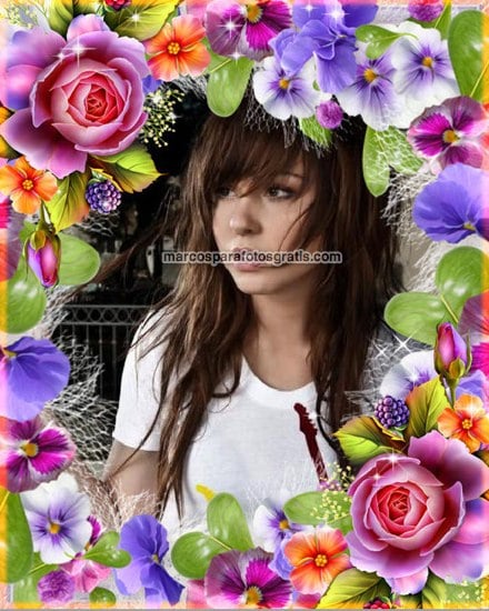 marcos de fotos de flores
