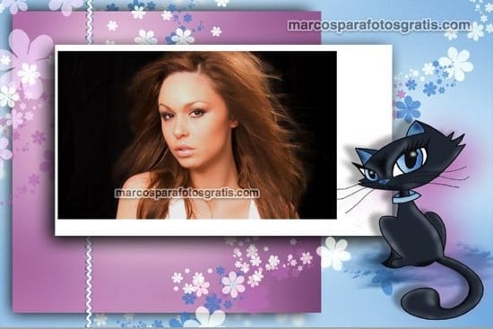 marcos de fotos de gatito