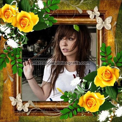 marcos de fotos de rosas amarillas