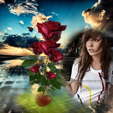 marcos de fotos de rosas rojas
