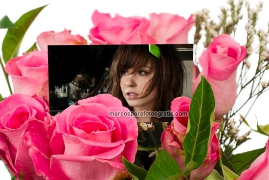 marcos de fotos de rosas