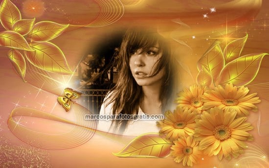 marcos de margaritas doradas