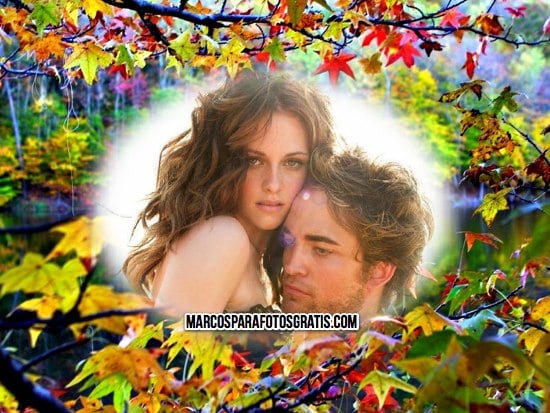 marco con hojas de otoño