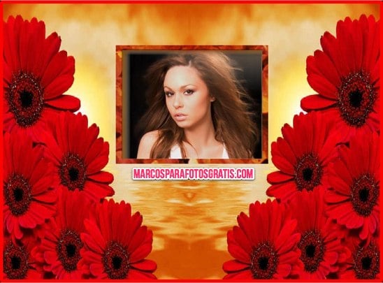 marco de flores rojas para fotos