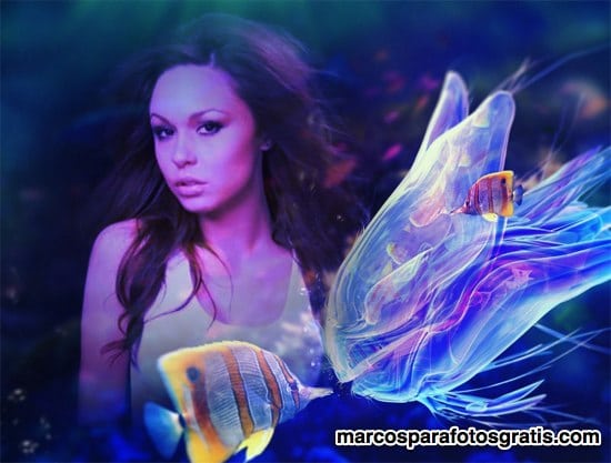 marco para fotos de acuario