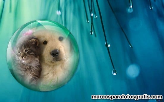 marcos de fotos de gota de agua de lluvia