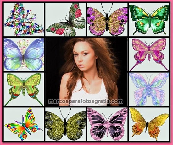 marcos de fotos de mariposas