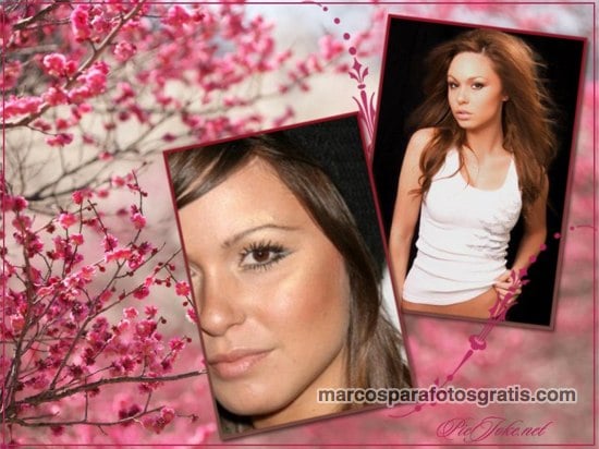 marcos de fotos gratis