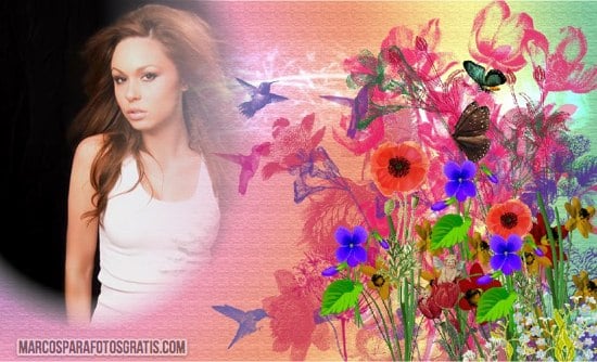 marcos para fotos con flores y colibries