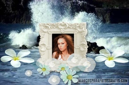 marcos para fotos con flores blancas