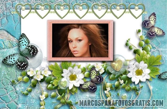 marcos para fotos con flores y mariposas