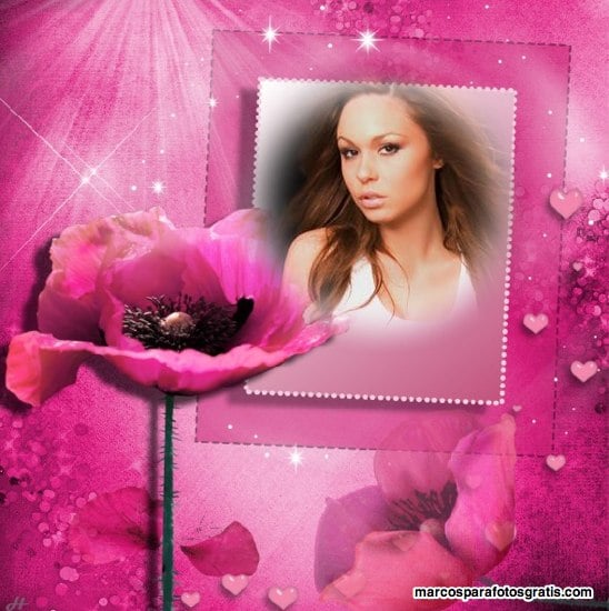 marcos para fotos de flores