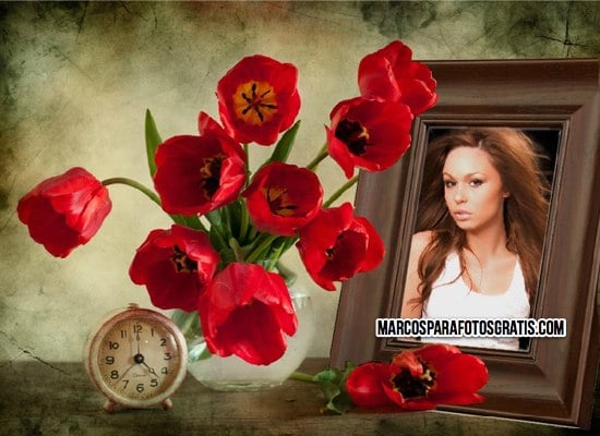 marcos para fotos con retrato y flores