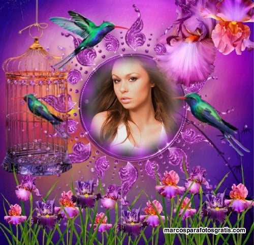 Marco de fotos de jardín florido con colibries