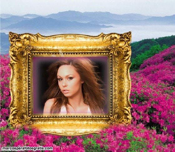 marcos de fotos de color dorado