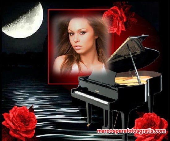 marcos de fotos de piano y rosas