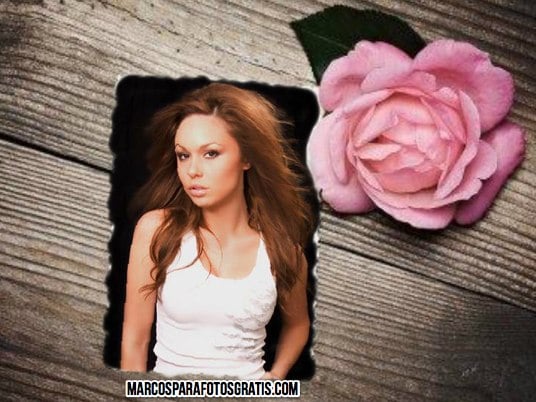 marcos para fotos con rosas