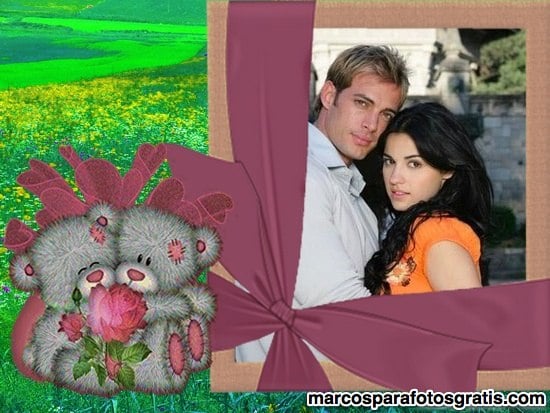 marco con ositos enamorados y rosa