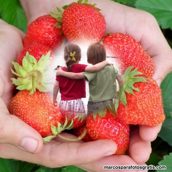 borde de fresas