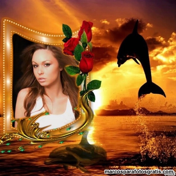 marco con rosas y delfines
