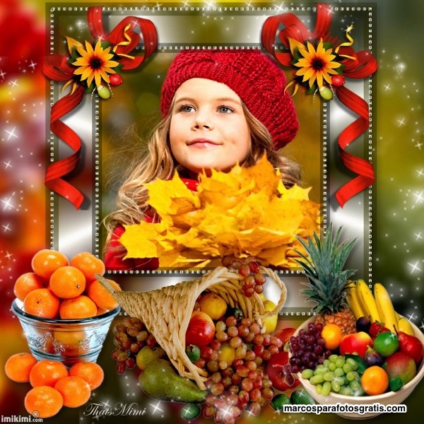 mejores marcos dia de accion de gracias thanksgiving
