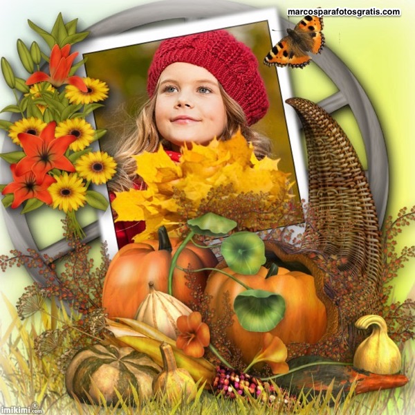 mejores marcos dia de accion de gracias thanksgiving