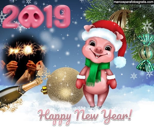 marco foto ano 2019 gratis