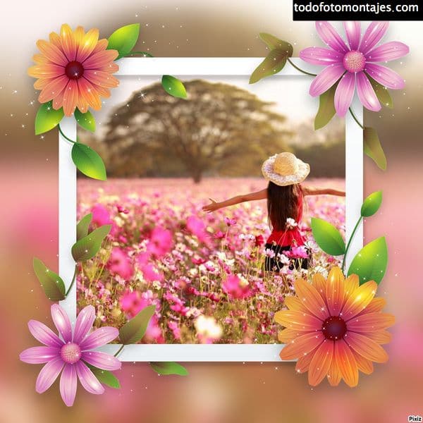 fotomontajes flores